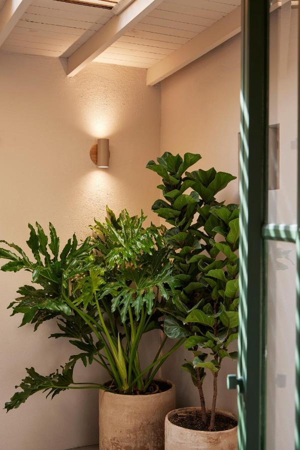 Antipoda Hotel Boutique Medellín Esterno foto